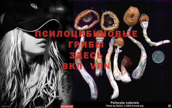 мяу мяу мука Алзамай