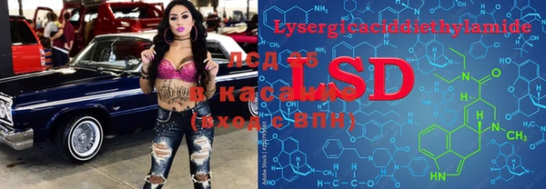 мяу мяу мука Алзамай
